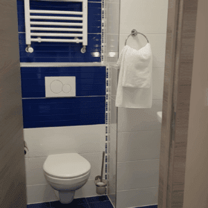 Salle de bain dans la chambre